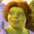 Shrek 21