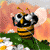 Bee Buddy Icon