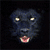 Panther Buddy Icon
