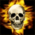 Skull Icon 2