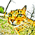 Cat Animated Icon 4