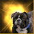 Dog Animated Icon 15