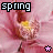 Spring Buddy Icon 2