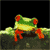 Green Frog Icon 2