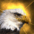 Eagle Icon 204