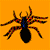 Spider Icon 200