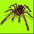 Spider Icon 201