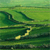 Field Icon 4