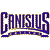 Canisius College Golden Griffins 3
