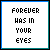 Forever Was In Your Eyes