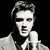 Elvis Presley Icon 19