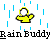 Rain buddy