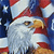 Eagle Flag