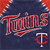 Minnesota Twins