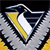 Pittsburgh Penguins 2