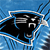 Carolina Panthers