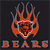 Chicago Bears 2