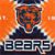 Chicago Bears 5