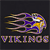 Minnesota Vikings 2