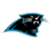 Carolina Panthers 3