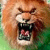 Lion 4