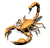 Scorpion Icon 11