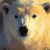 Polar bear 3