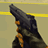 Counter Strike Icon