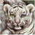 White tiger