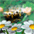Bee Buddy Icon 16