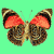 Butterfly Buddy Icon 12