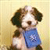 Dog Buddy Icon 23