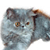 Cat Buddy Icon 18