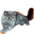 Cat Buddy Icon 17