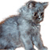 Cat Buddy Icon 209