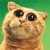 Cat Buddy Icon 200