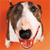 Dog Buddy Icon 54