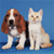 Dog Buddy Icon 44