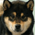 Dog Buddy Icon 42