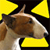 Dog Buddy Icon 170