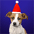 Dog Buddy Icon 142