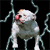Dog Animated Icon 18