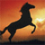 Horse Buddy Icon 233