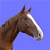 Horse Buddy Icon 209