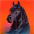 Horse Buddy Icon 204