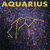 Zodiac Sign Aquarius 5