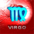 Zodiac Sign Virgo 2