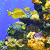 Fish Icon 13