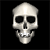 Skull Icon 201