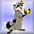 Meeko Icon